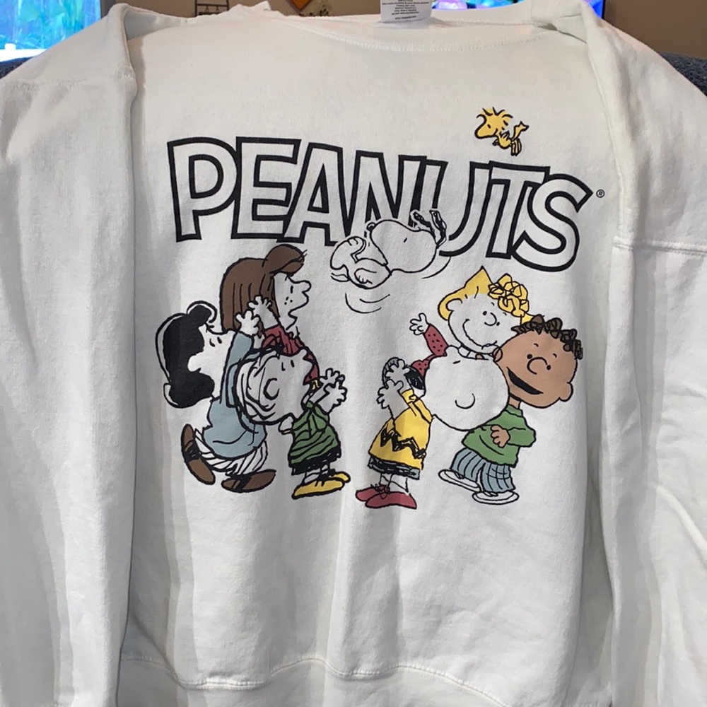 Peanuts Charlie Brown Sweatshirt